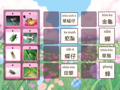 第四冊第三課  油桐花  語詞