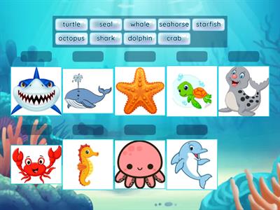 sea animals