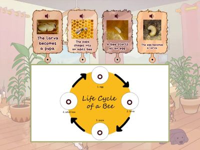 SK - LEVEL 2 - INSECTS (2)