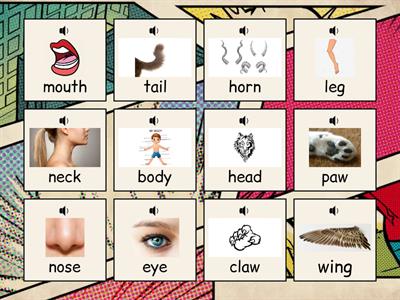 Animal body parts - flashcards
