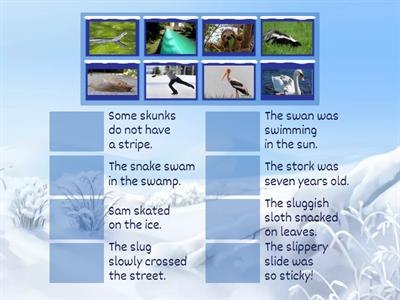 Practice S sounds when saying these sentences. 