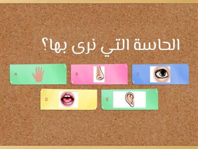 اختبار قبول التسجيل لقسم رياض الأطفال النعيمية