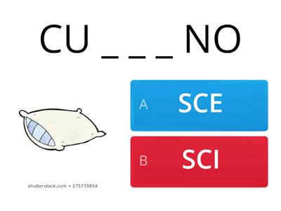 SCE - SCI 