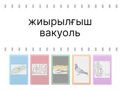 Өрмекші адамның секс пародиясы (ххх, порно пародия)