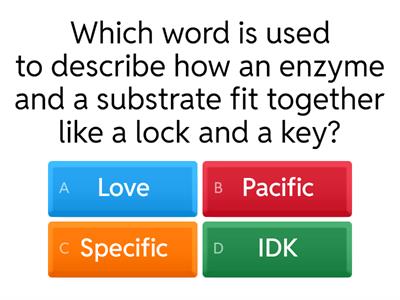 Enzyme Review