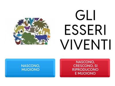 APPARATO RIPRODUTTORE