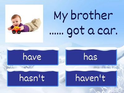  Has got/have got/hasn't got/ haven't got