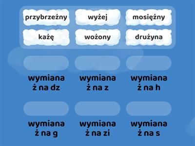 ż wymienne