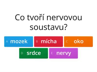 Nervová soustava