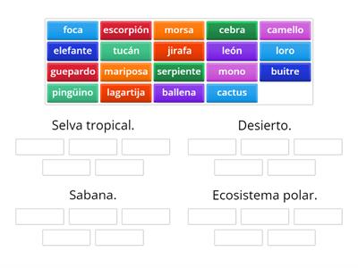 Identificación de los ecosistemas