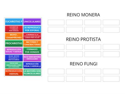 CARACTERÍSTICAS DE LOS REINOS