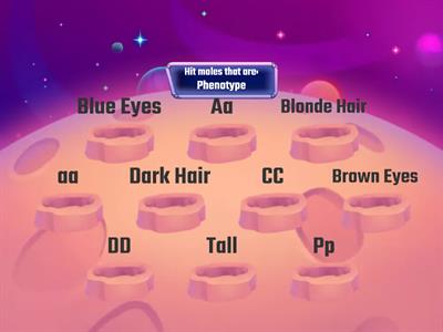 Genotype vs. Phenotype