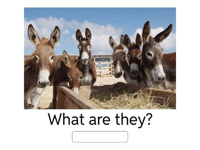 [ASS] Unit 8 - Lesson 3 & 4: Grammar