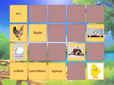 Найди пару чтение дошкольники