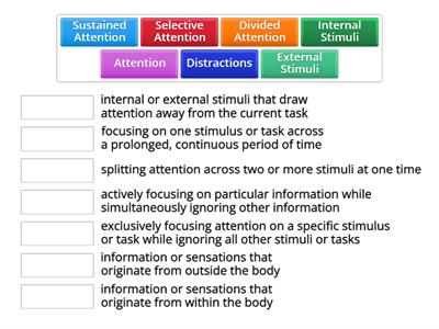 8A Attention Vocabulary 