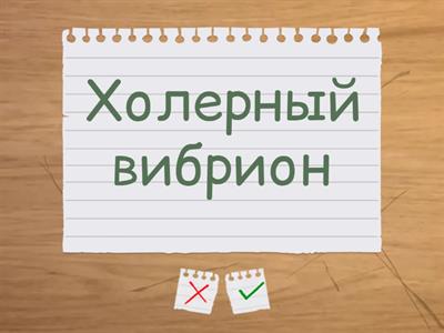 Биология 7 класс