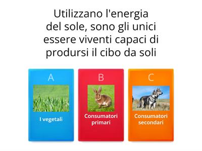 Catena alimentare quiz