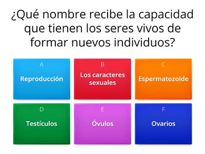 4° Grado ¿Cómo mantener la salud? 