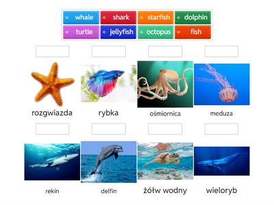 UNIT 3 i 6 - powtórzenie (zwierzęta)