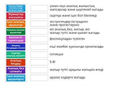 Автокөлік секс порно видео