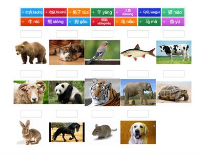 китайский животные