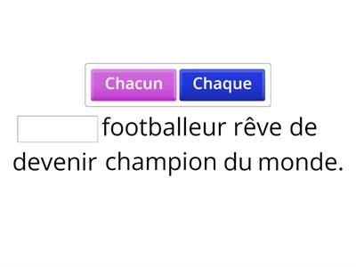 Les indéfinis - I (B1)