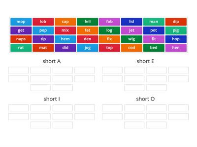 First Grade Word Sort