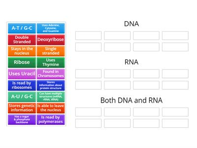 DNA vs RNA