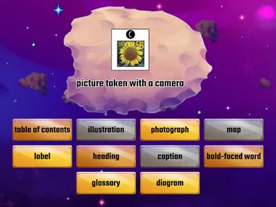 Nonfiction text features (shorter)