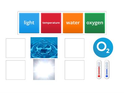 Horticulture: 2 factors influencing germination