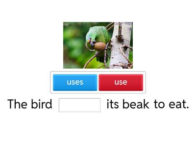 Stars and Heroes 3 unit 2 animal body parts: use / uses / their / it