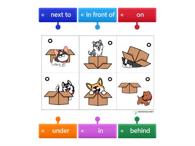 Prepositions in, on, under, behind, in front of, next to