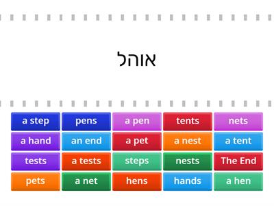 Level 5 English Club יחיד ורבים