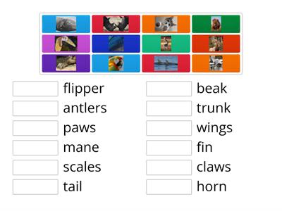 Animal Body Parts - Match Up