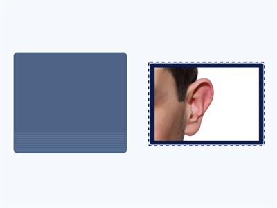 L14 Körperteile - ... tut weh