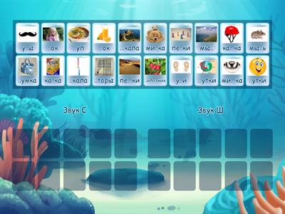 Дифференциация С-Ш