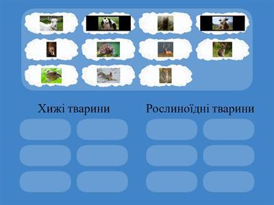 розташуйте у відповідному ряду відповідну картинку