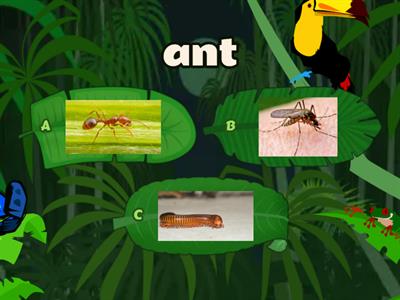 Hey, Little Ant - Images