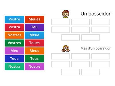 Determinants possessius - Ordenació