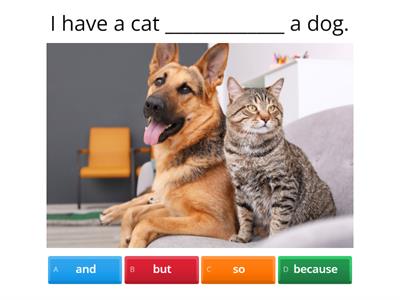 Conjunctions (and-but-so-because)