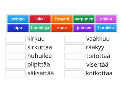 LINNUT – Yhdistä lintu ja ääntely 2