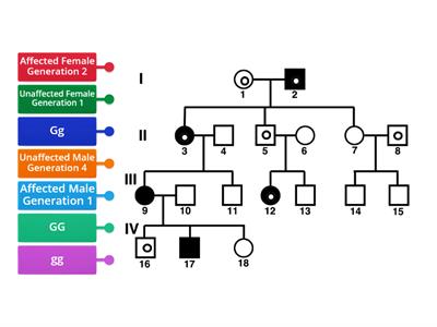 Pedigree Chart-Recessive Trait