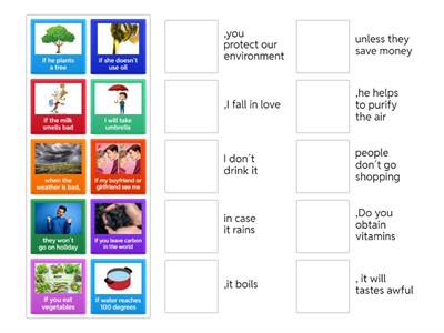 Zero conditional and First conditional 