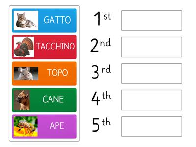 METTI IN ORDINE ALFABETICO 