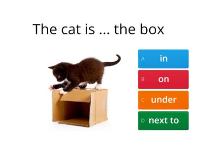 Prepositions of place: on, in, under, next to, in front of, behind, between