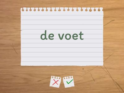 Lichaamsdelen (Nederlands/Pools)