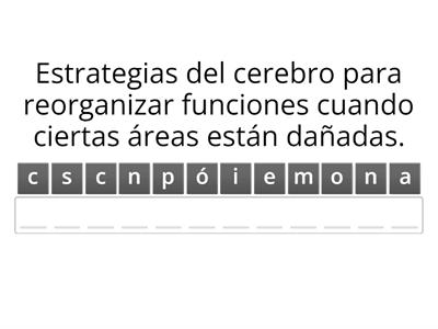 ¡Cerebro en juego!