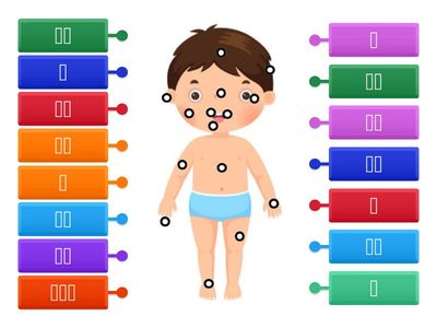  Vocabulário - 身体部分