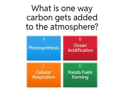 Carbon Cycle