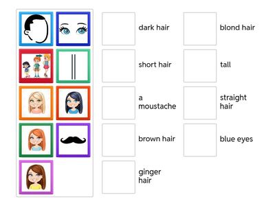  Physical description-6e